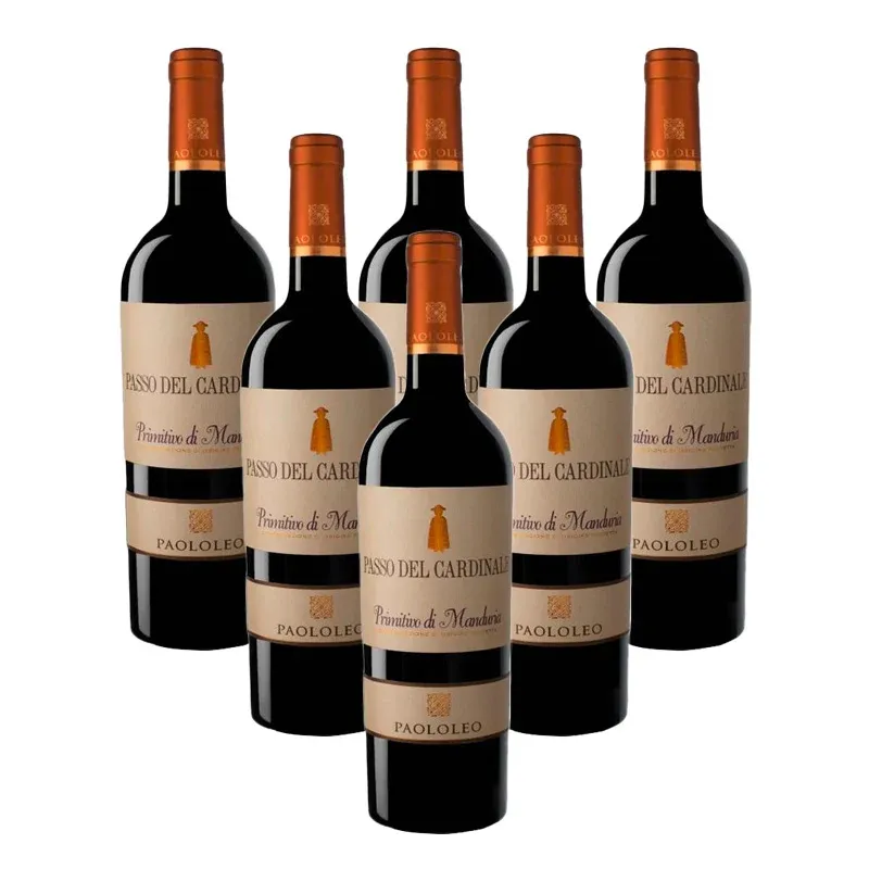 Professionale Passo Del Cardinale Primitivo Di Manduria DOC 2022 Cantina Paololeo