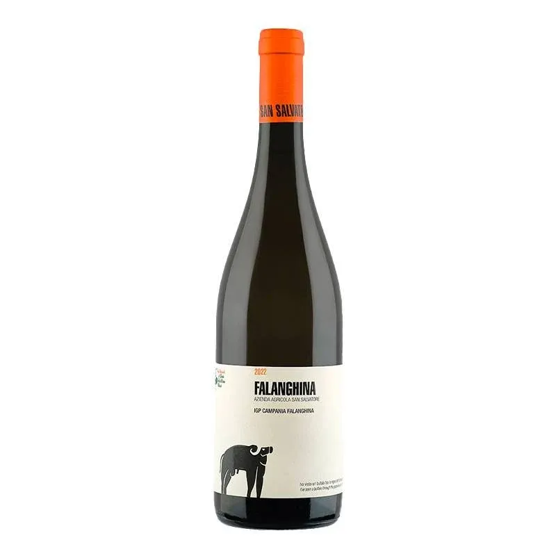Falanghina Campania IGT 2023 Cantina San Salvatore 1988 Esclusivo