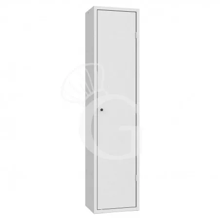 Armadio portascope monoblocco, 420x330x1800 mm colore standard RAL 7035 Direttamente Dal Produttore