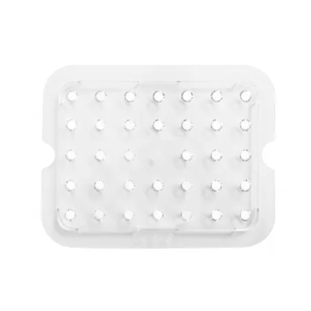 Falso fondo forato in policarbonato GN1/2 dimensioni L 268 mm x P 208 mm Reso Gratuito