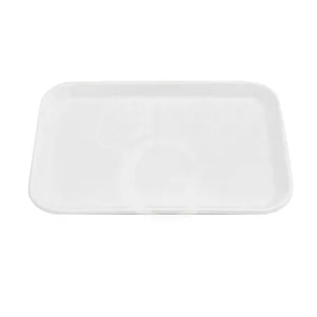 Vassoio antiassorbente per alimenti in SAN dimensioni L 350 mm x P 240 mm x H 12 mm Miglior Prezzo