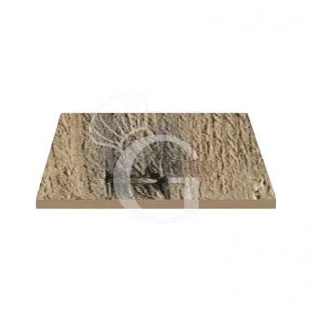 Offerta Piano quadrato in stratificato HPL, 800x800 mm, spessore 10 mm, colore Apple Crates