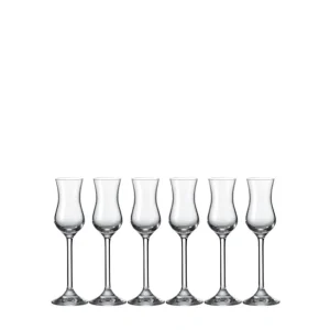 Leonardo Set 6 Bichhieri Grappa Daily Vendita Finale