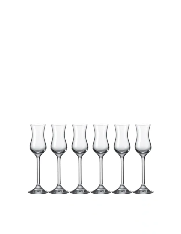 Leonardo Set 6 Bichhieri Grappa Daily Vendita Finale