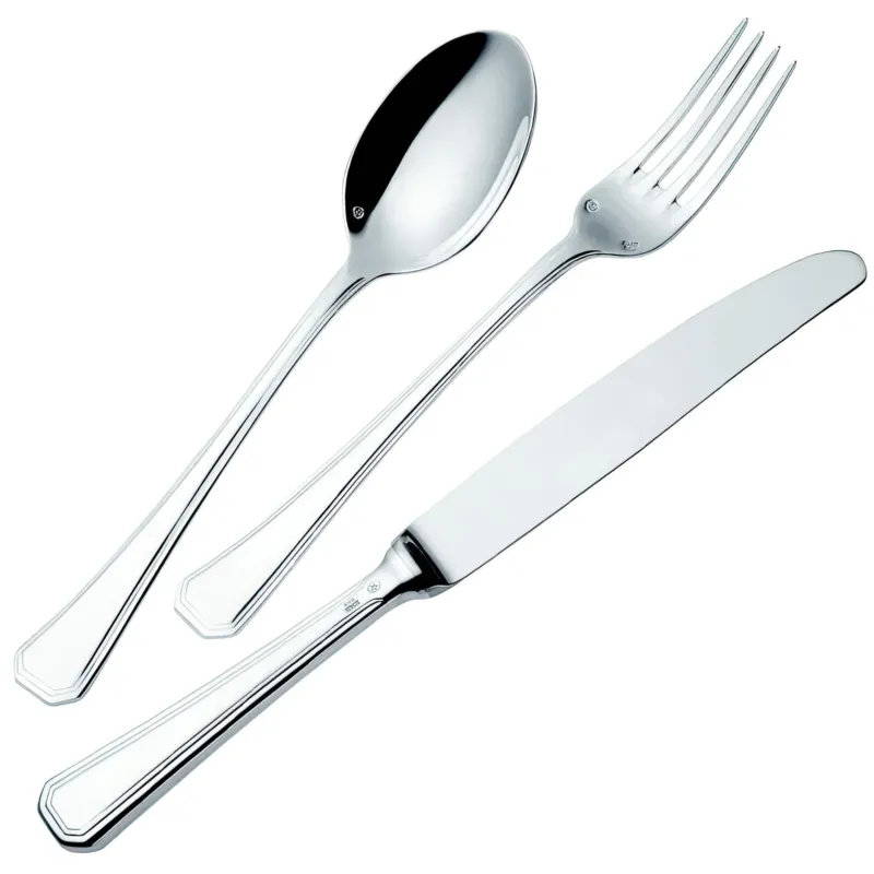 Offerta Del Giorno Servizio Posate 24 Pezzi SAVOIA ARGENTATO Acciaio Argento 25 micron Eme Posaterie