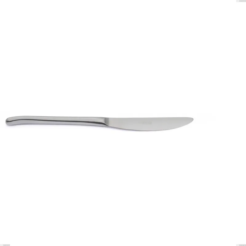 Affare Coltello frutta venice sabbiato, Acciaio inox Aisi 304 Posate sabbiate, spessore 4 mm, lunghezza 220 mm Eme Posaterie