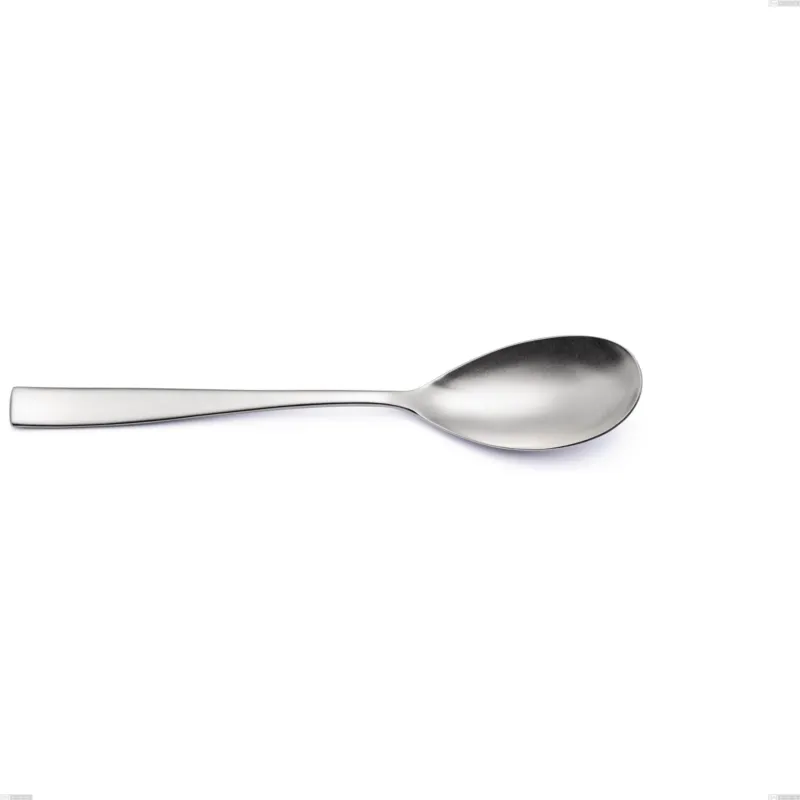 Cucchiaio da servizio etoile sabbiato, Acciaio inox 18/10 18/10 (AISI304) sabbiato, lunghezza 258 mm Eme Posaterie Novità