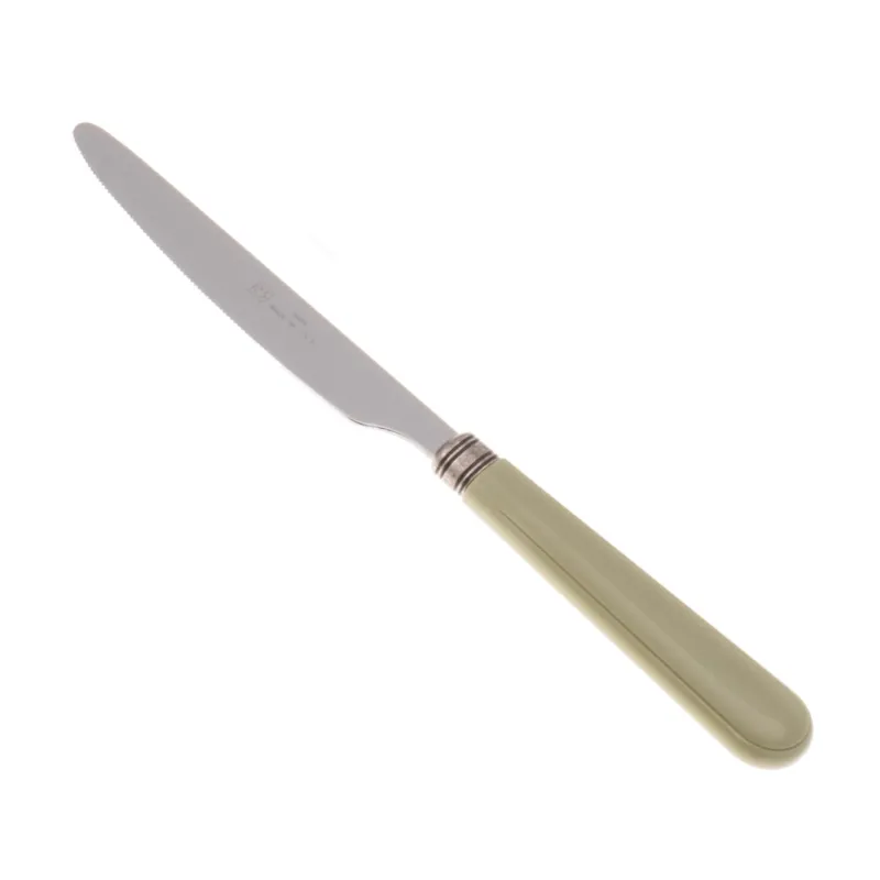 Coltello tavola seghettato MOD Mistral Set di 6 Pezzi in acciaio 18.10 Lunghezza 26 cm manico in PPL lavabile in lavastoviglie colore Salvia Rivadossi Esclusivo