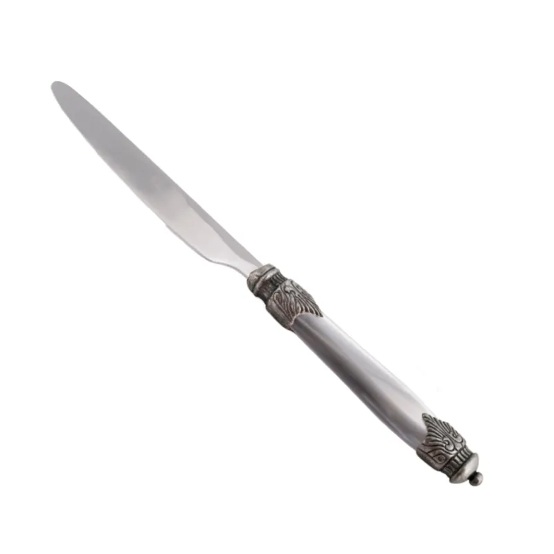 Coltello tavola Arianna Set di 6 Pezzi in acciaio 18.10 Lunghezza 24 cm manico in Plexiglas con ghiera Anticata lavabile in lavastoviglie Grigio Rivadossi Soddisfatti O Rimborsati