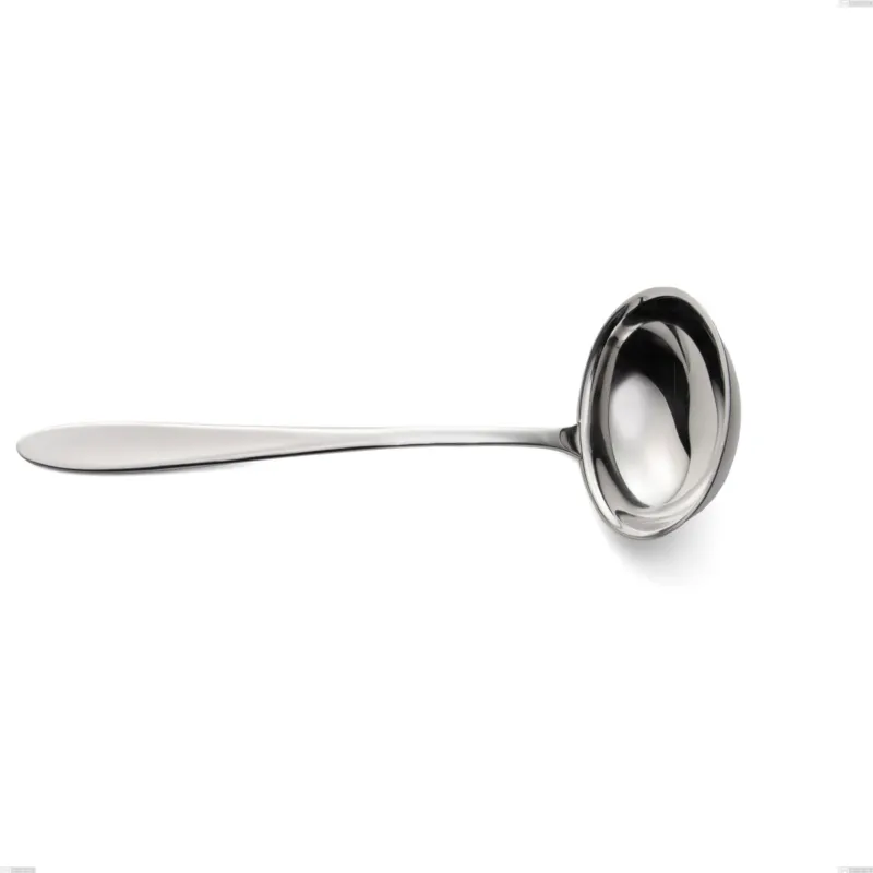 Offerta Limitata Mestolo oasi, Acciaio inox Aisi 304 Posate Lucide, spessore 2 mm, lunghezza 280 mm Eme Posaterie
