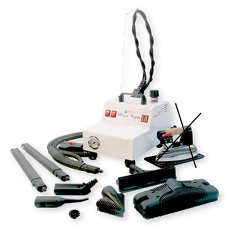 Bestseller Ferro da Stiro professionale, Generatore di Vapore a ricarica automatica senza ferro per la pulizia di vetri. sanitari. mattonelle Bieffe Srl