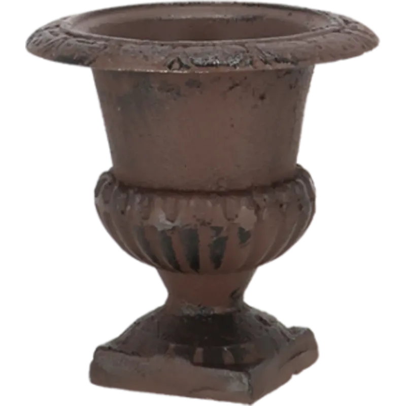 Ordina Subito Vaso Francese - Alto,XS