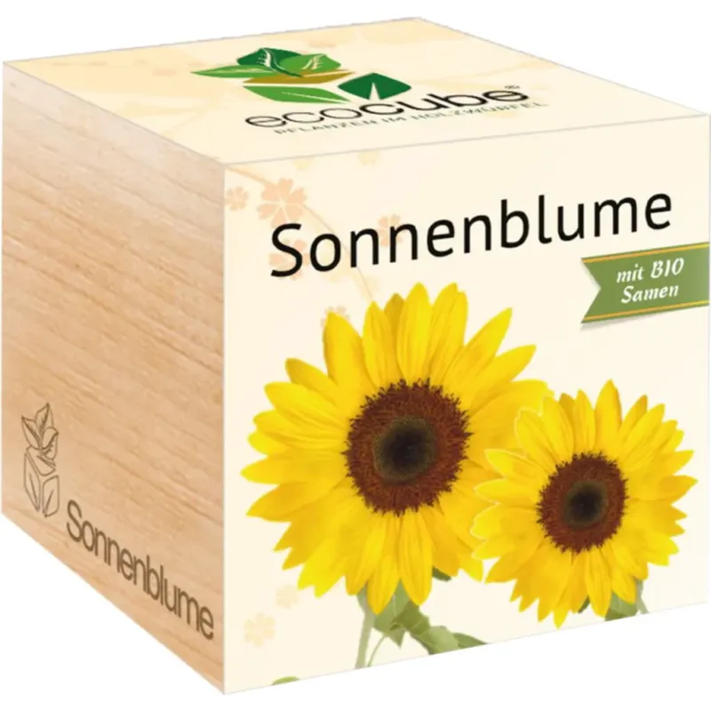 ecocube - Fiori,rosa canina Economico