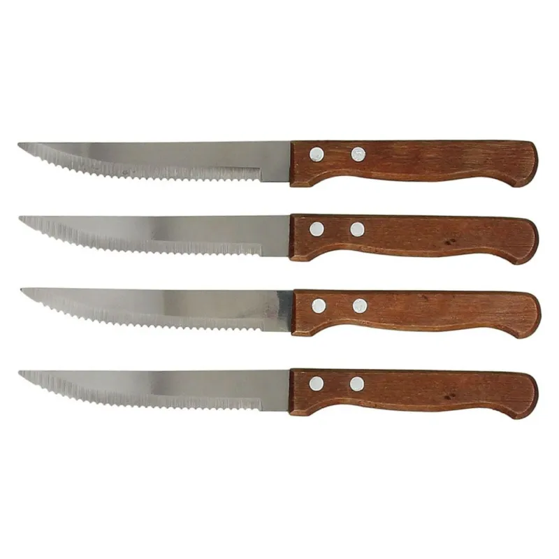 Offerta Limitata Set 4 pezzi coltelli steak churras Acciaio Multicolor