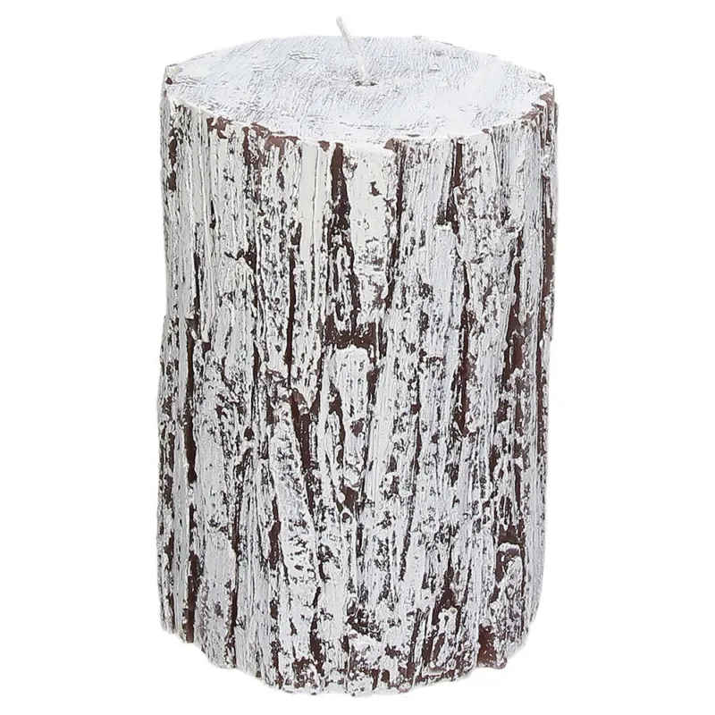 Candela cilin.cm 10x15 Ceppo Cera Multicolor Promozione