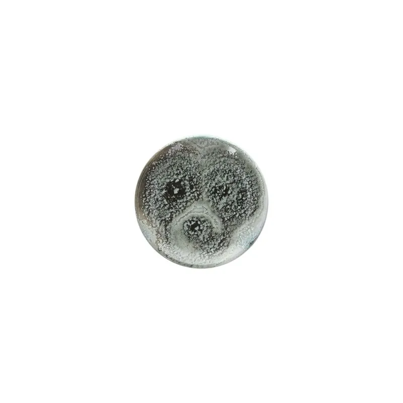 Piatto pane cm 15 Iceland Porcellana Verde Ultime Pezzi