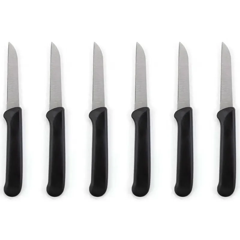Spedito Oggi Set 6 coltelli spelucchini Acciaio Inox 18/0 Nero