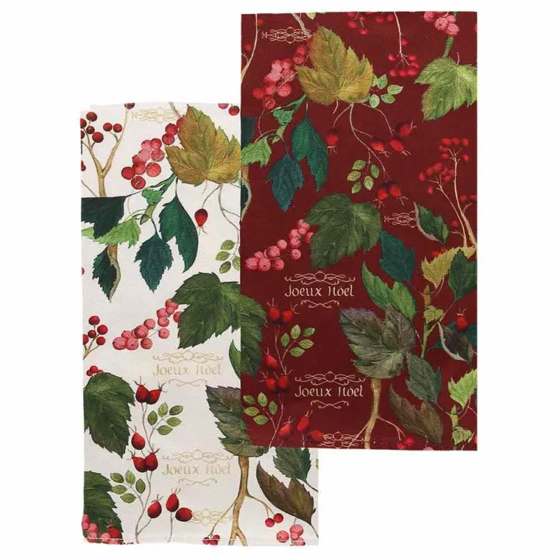 Compra Adesso Set 2 strofinacci cm 50x70 Ribes Cotone Multicolor