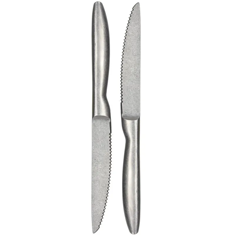 Set 2 coltelli Bistecca Tex Mex Acciaio inox Argento Compra Oggi Stesso