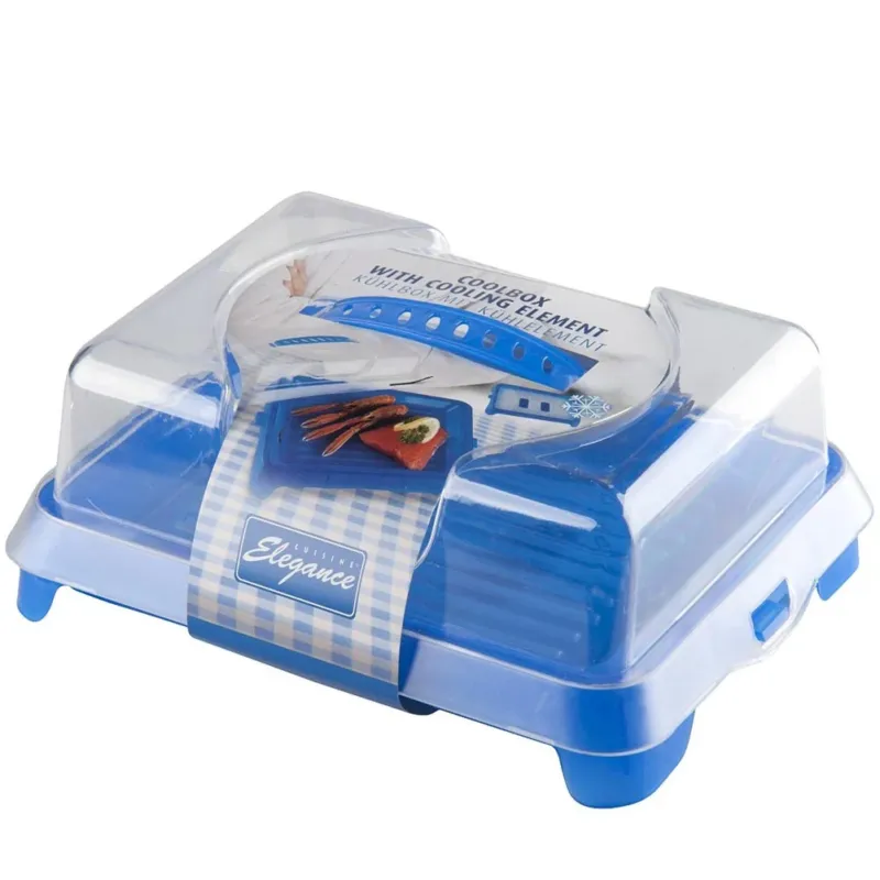 Cestino Contenitore Termico Plastica Resistente Con Elementi Di Raffreddamento Vendita Finale