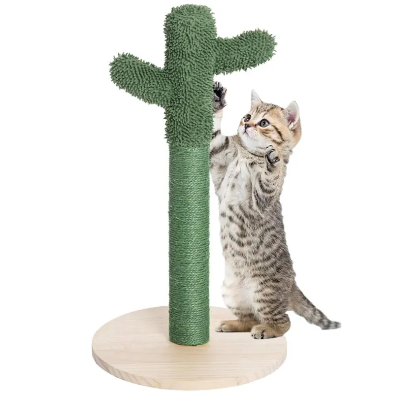 Offerta Speciale Tiragraffi Graffiatoio Forma Cactus Pianta per Gatti Animali Felini Verde