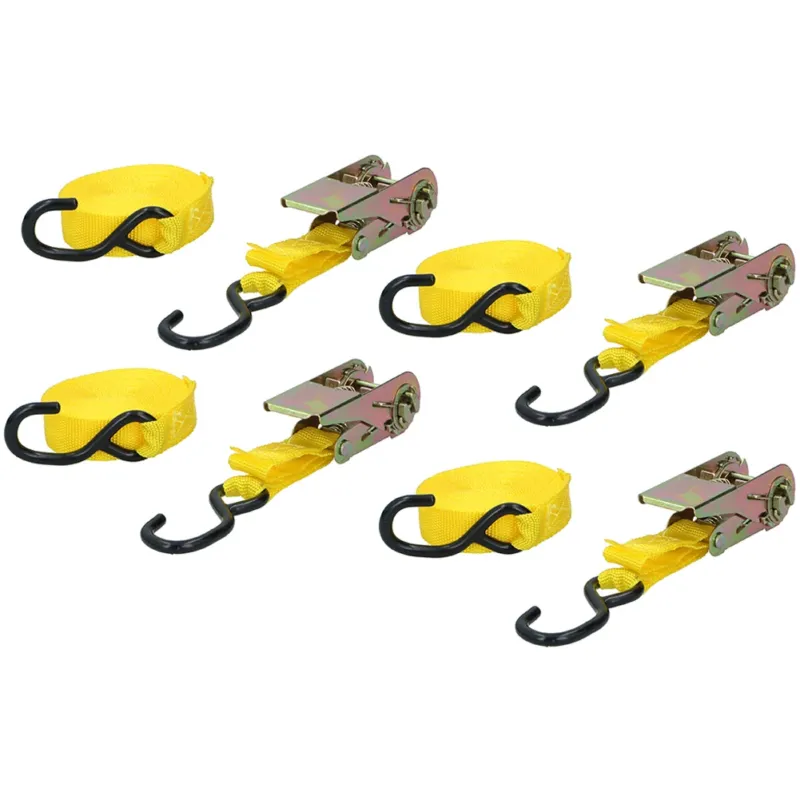 Super Prezzo Set 4 Pezzi Cinghia Fissaggio a Cricchetto 5,1 Metro 130kg Trazione Portapacchi