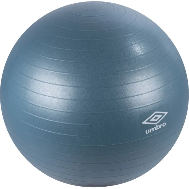 Fitness Ball Palla da Ginnastica Allenamento Diametro 55 cm Sistema Antiscoppio Saldi