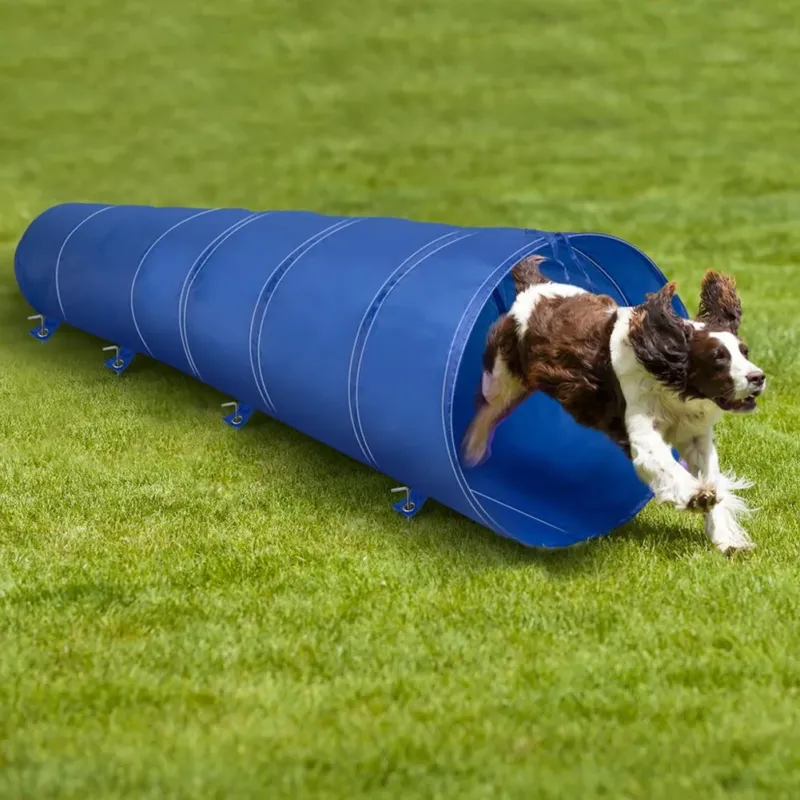 Tunnel Gioco Addestramento Cani Gatti Animali Cinofilo 3 Metri Giochi di Agilità Offerta Del Giorno