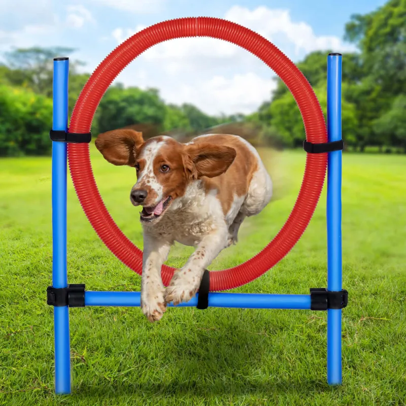 Compra Adesso Anello di Salto per Cani Agility Dog Addestramento Cani Ostacoli con Borsa