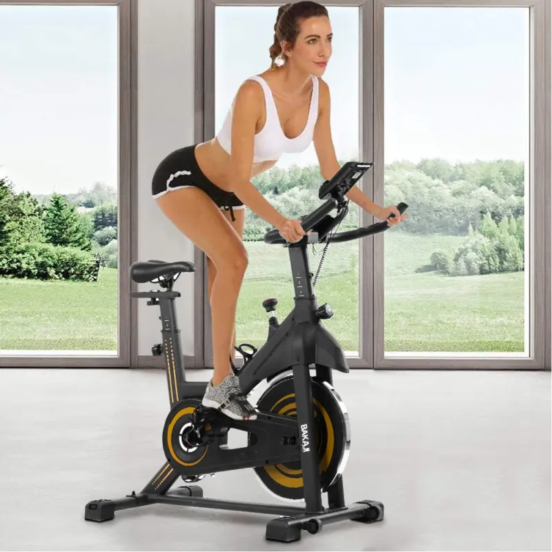 Reso Gratuito Cyclette Spinning Bike Bici Allenamento Fitness Cardio con Display LCD Bluetooth