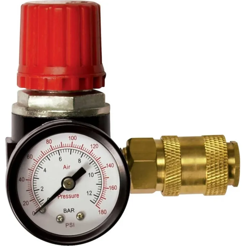 Compra Adesso Stanley Riduttore di Pressione Bombola Gas 1/4 Pollici Gestione Precisa 12 bar