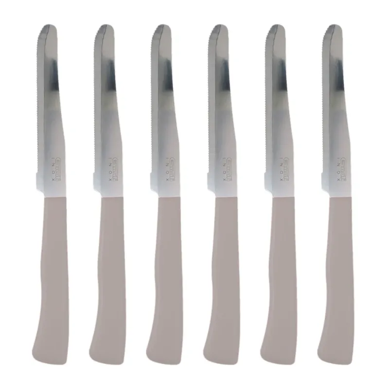 Professionale Coltelli da Tavola Tortora 24pz Manico in Polipropilene Doppia Affilatura 22cm