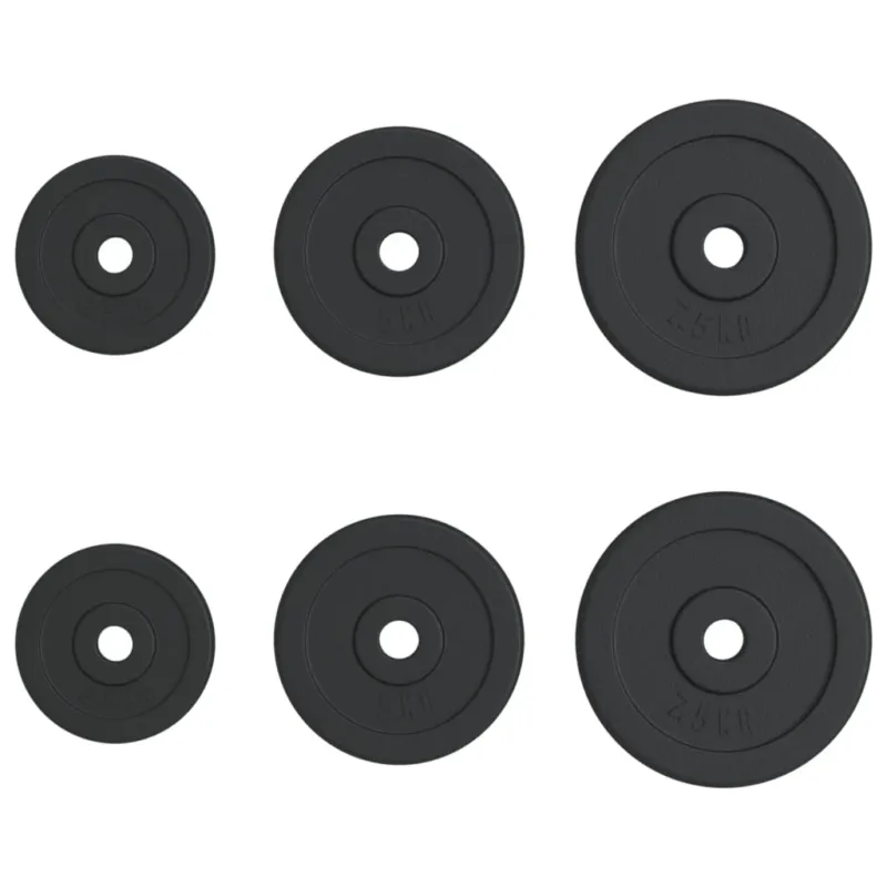 Set 6 Dischi per Pesi Totale 30 kg in Ghisa Allenamento Palestra Fitness Professionale