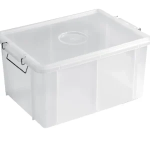 Cassetta box con coperchio trasparente Subito Disponibile