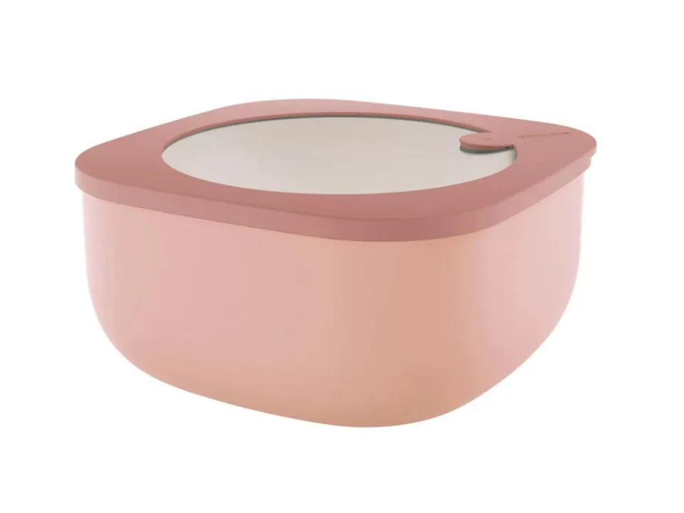Reso Gratuito Store&more bio, contenitore basso 1900cc - rosa fiori di pesco