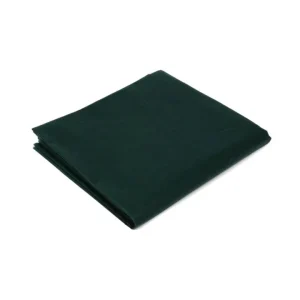 Fiesta, confezione 100 tovagliette 30x40, verde Economico