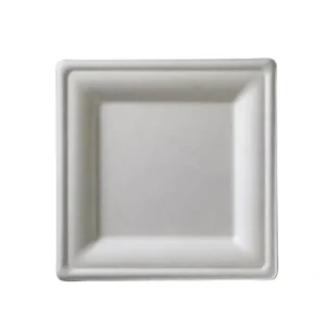 Vendita Finale Piatto bio quadrato, 26x26 cm, 50 pezzi