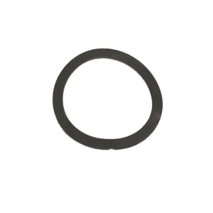 Guarnizione filtro per spremi n°3 Offerta