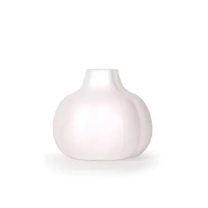 Sbucciatore di aglio Di Tendenza