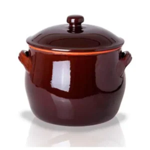 Benegiamo - Pentola in terracotta con coperchio 2 Manici Ø21 cm Offerta Limitata