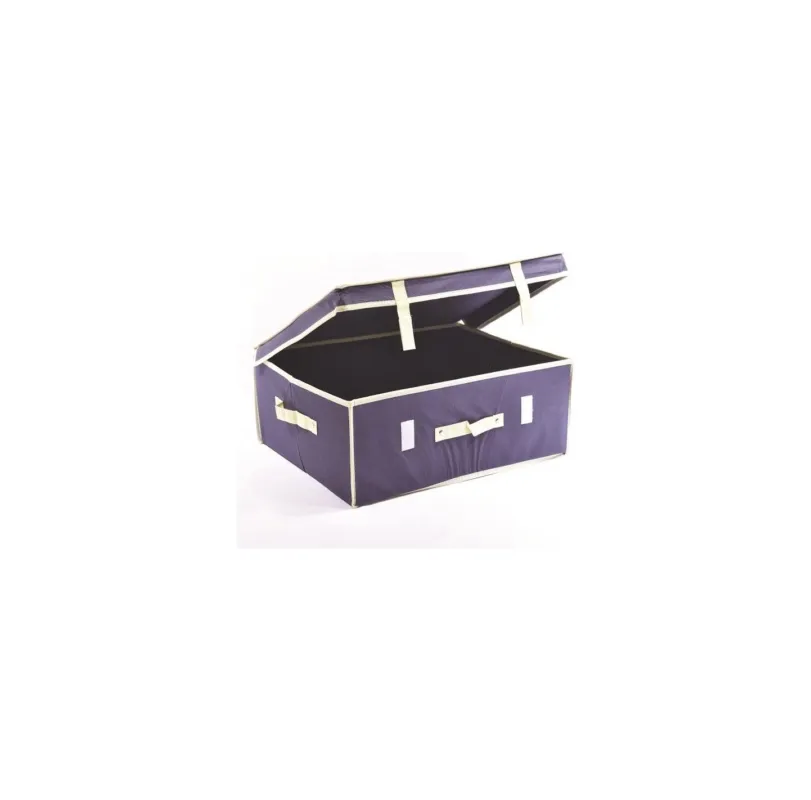 Scatola porta biancheria Ordinotta blu in TNT rettangolare 33x28x16 cm Nuovo Arrivo