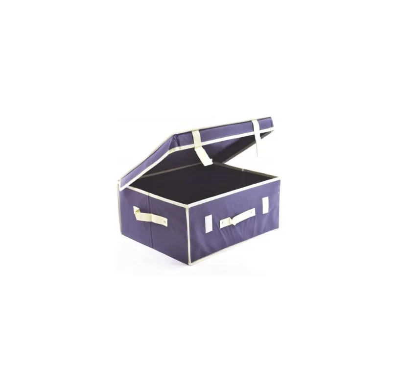 Scatola porta biancheria Ordinotta blu in TNT rettangolare 40x33x18 cm Più Venduto