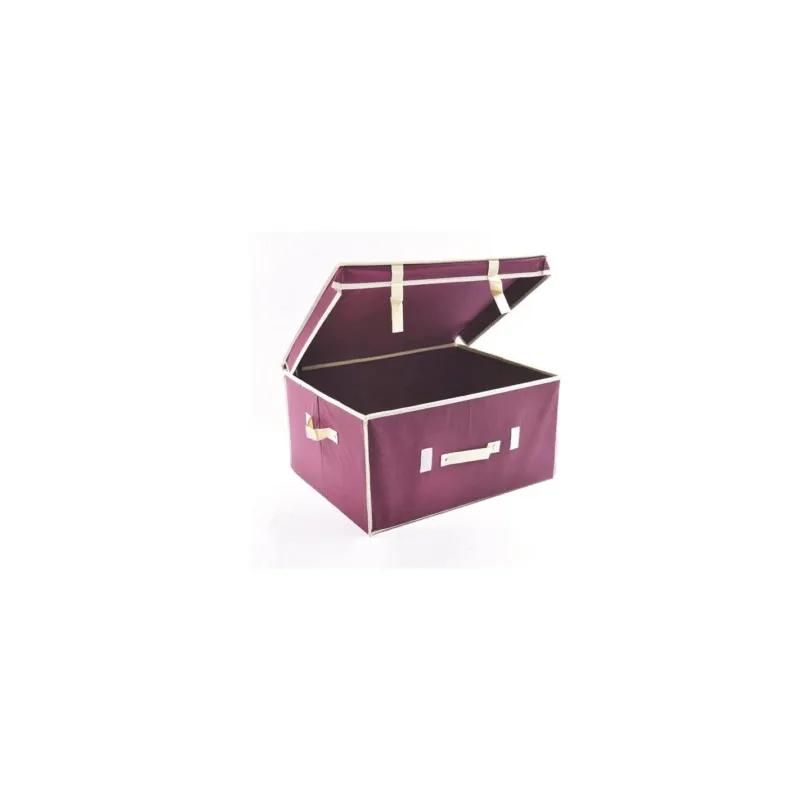 Offerta Del Giorno Scatola porta biancheria Ordinotta bordeaux in TNT rettangolare 50x40x25 cm