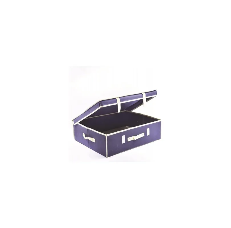 Scatola porta biancheria Ordinotta blu in TNT rettangolare 50x40x15 cm Offerta Speciale