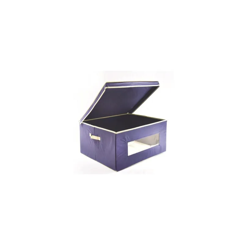 Scatola porta biancheria Ordinotta blu in TNT rettangolare 60x50x30 cm Ultima Occasione