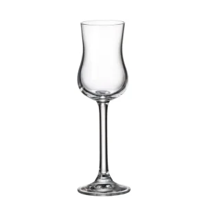 Ultima Occasione Crystal Bohemia - Set 6 Bicchieri calici da grappa in vetro linea Colibri da 85 ml