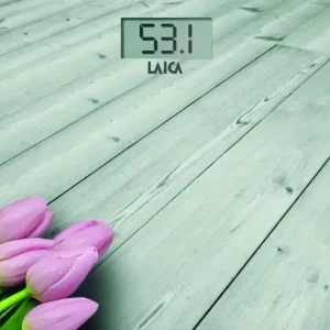 Nuova Collezione Laica Pesapersone elettronica