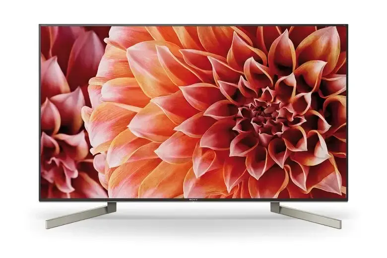 Professionale Sony KD55XF9005 55" Full LED 4K Ultra HD, HDR, Smart TV Wi-Fi Nero