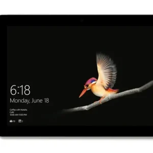 Must-Have Microsoft Surface Go 64 GB 25,4 cm (10") Intel® Pentium® 4 GB Wi-Fi 5 (802.11ac) Windows 10 S Argento