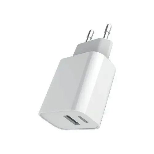 Compra Oggi Stesso Area Caricabatteria da rete 20W con tecnologia Power Delivery